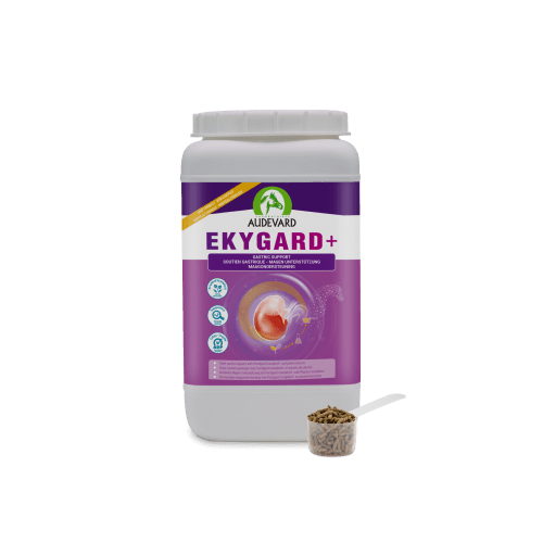 Ekygard+