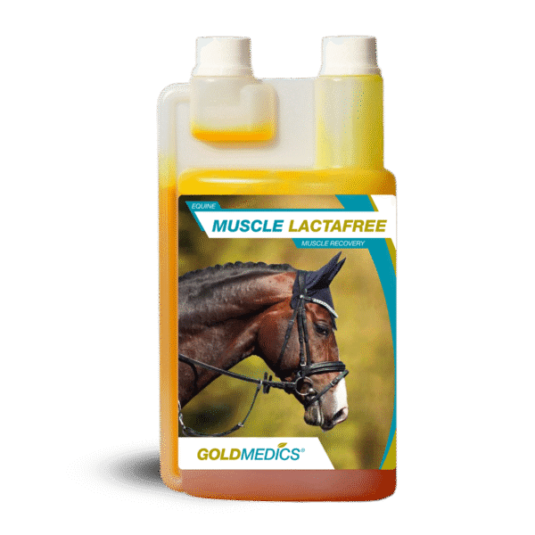 Muscle Lactafree Gold